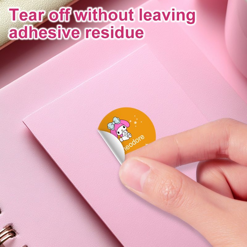 Aangepaste My Melody naamstick - Laptop Accessories Name recensie en prijs