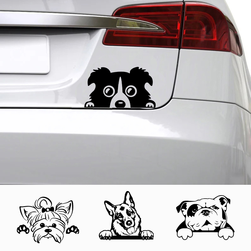 Auto's accessoire stickers gra - Laptop Accessories Name recensie en prijs