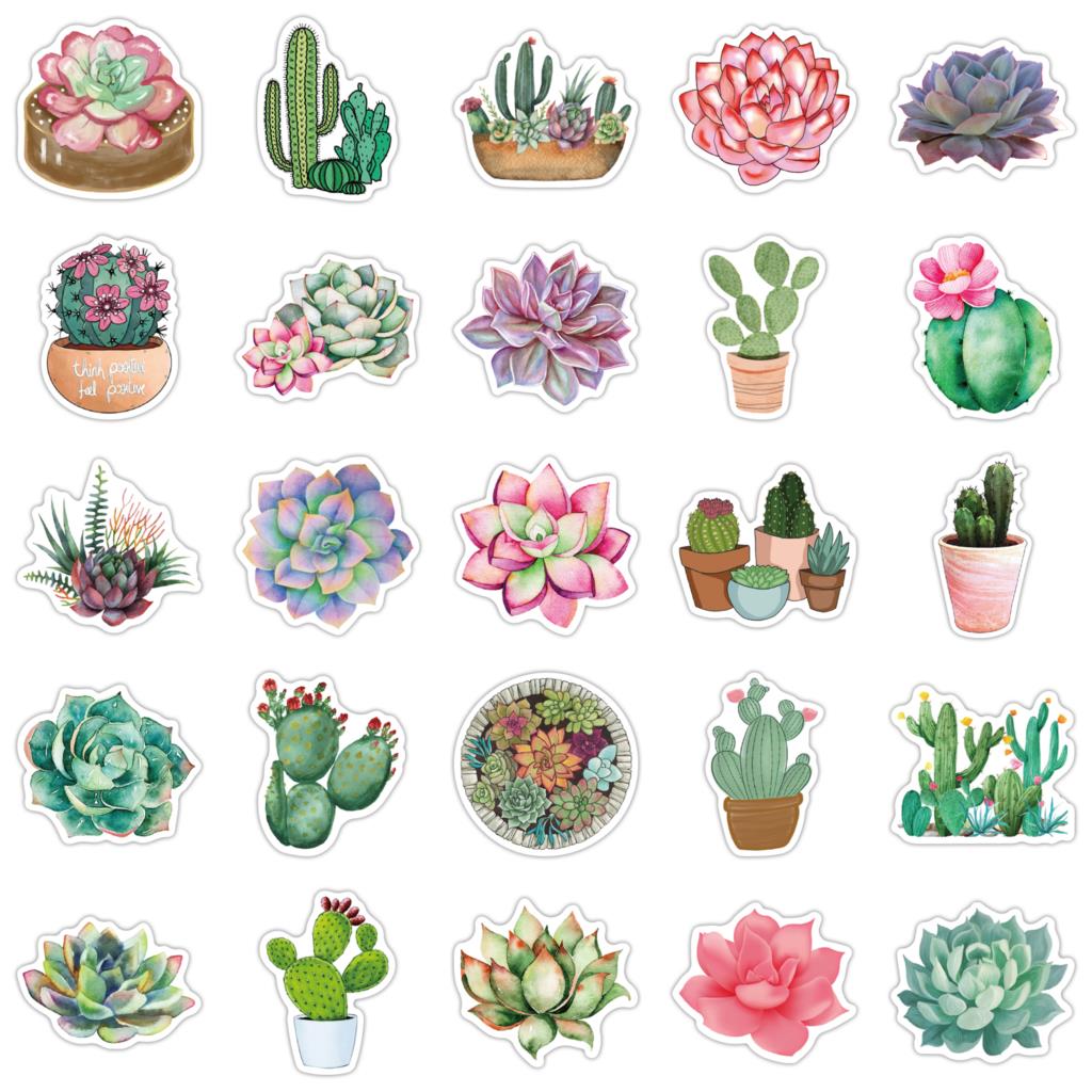 50Pcs Succulent Stickers Voor  - Laptop Accessories Girly recensie en prijs