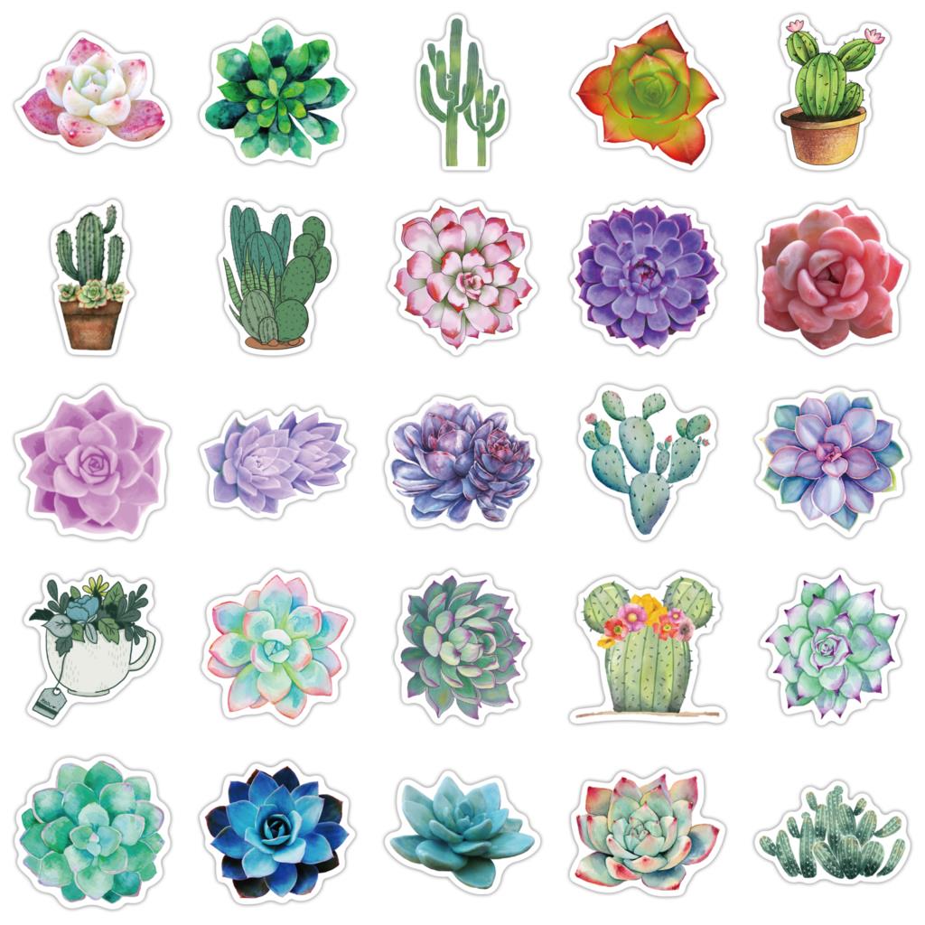 50Pcs Succulent Stickers Voor  - Laptop Accessories Girly recensie en prijs