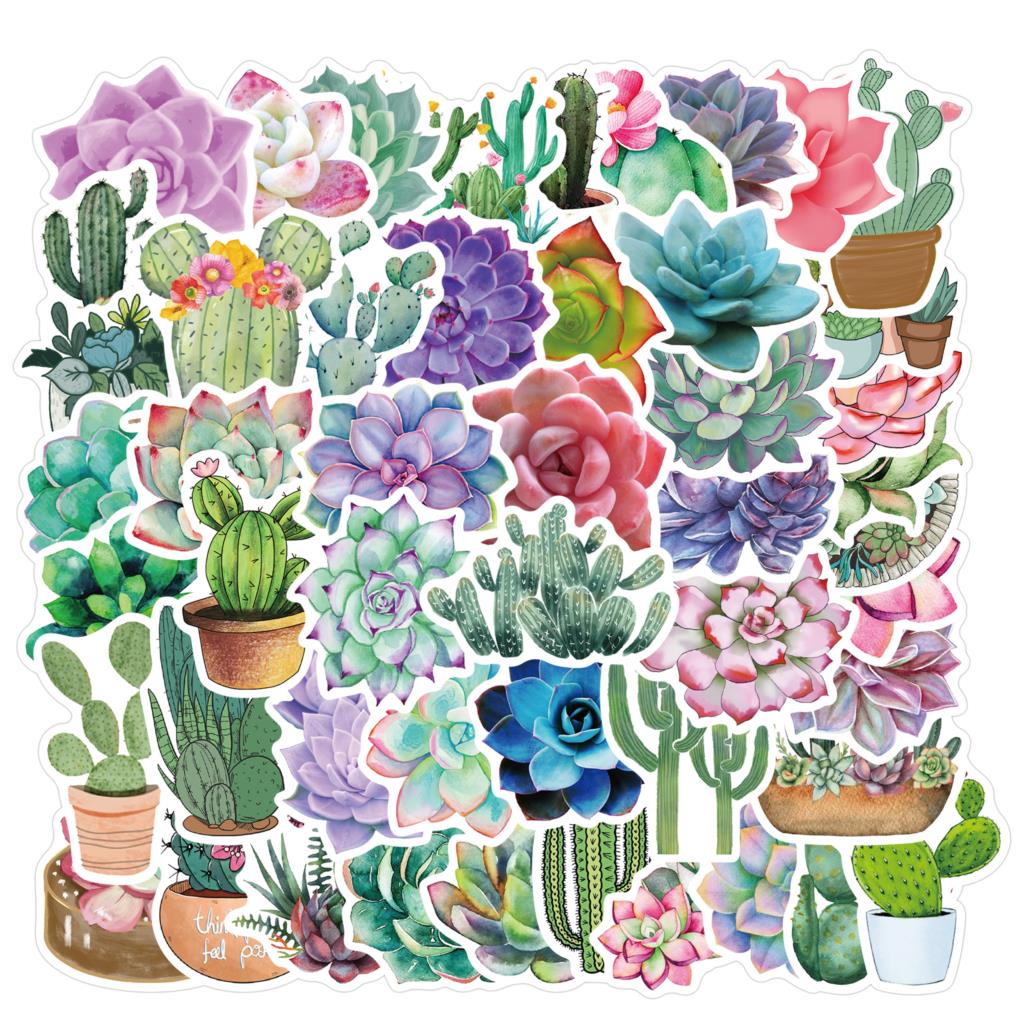 50Pcs Succulent Stickers Voor  - Laptop Accessories Girly recensie en prijs